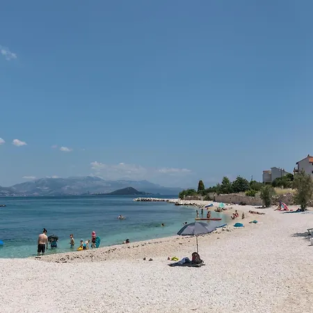 Attractive In Slatine טרוגיר